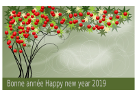 Bonne année 2019