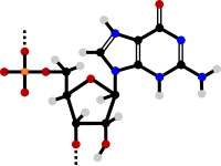 Guanosine monophosphate