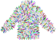 Coat Of Arms Prismatic