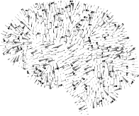 Tools Brain