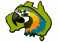 Australian Parrot