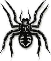 Spider (#1)