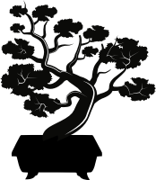 Bonsai Tree