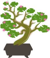 Bonsai - Colour