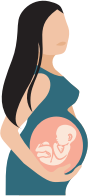 Pregnant Woman With See Through Belly Illustration