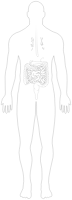 Man Anatomy Line Art