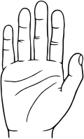 Human Hand Line Art