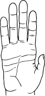 Chimpanzee Hand Line Art