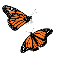 monarch butterfly back and topviews