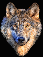 wolf head