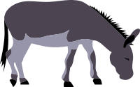 donkey!