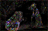 Mr. Mouse And The Frog Chromavision