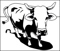 little cow 1