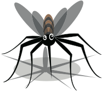 Mosquito (#3)