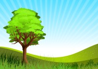 Landscape tree 12022019 2