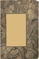 Old Yellow Frame