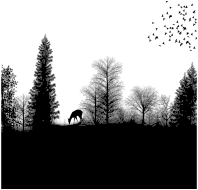 Deer Grazing In Forest Silhouette By matahari22