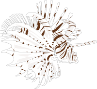 Lionfish