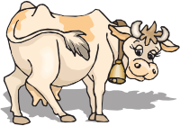 Cow (#2)