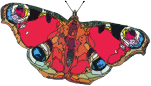 Butterfly2