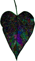 Detailed Leaf Line Art Prismatic