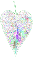 Detailed Leaf Line Art Prismatic No BG