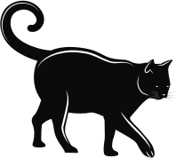 Cat (#3)
