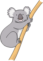 Koala (#2)