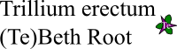 Trillium erectum landscape plant icon