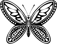 butterfly