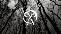 black forest wallpaper 3