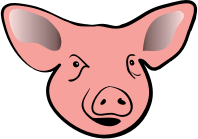 pig head