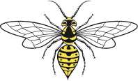 Wasp
