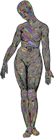 Muscle Fibers Woman Polyprismatic