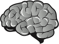 Brain