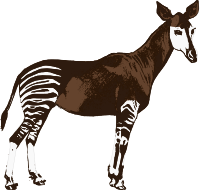 Okapi