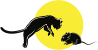 Cat and Mouse