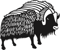 Buffalo