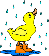 Duck with rain boots