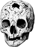 Broken Skull