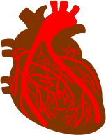 Heart By Ryan Stekken