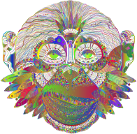 New Years Eve Monkey Polyprismatic No BG