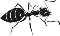 Ant (#2)