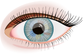 Eye (#17)