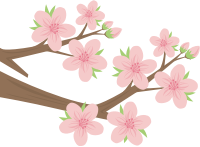 Sakura (#2)