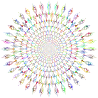 Abstract Floral Vortex Polyprismatic No BG