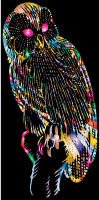 Vintage Owl Line Art Prismatic