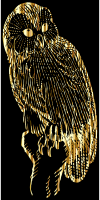 Vintage Owl Line Art Gold