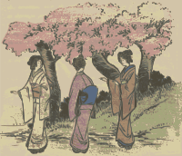 Cherry Blossom Viewing