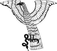 Bird Carrying Snake